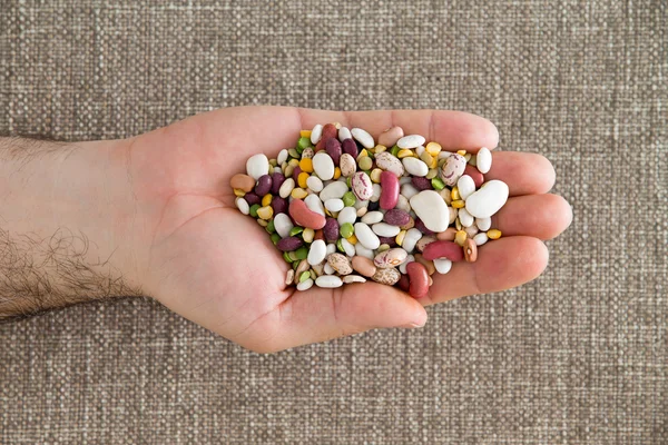 Man holding 15 mixed legumes in his hand — Stock Photo, Image