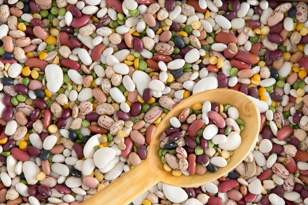 Background texture of assorted beans and legumes — Stock Photo, Image