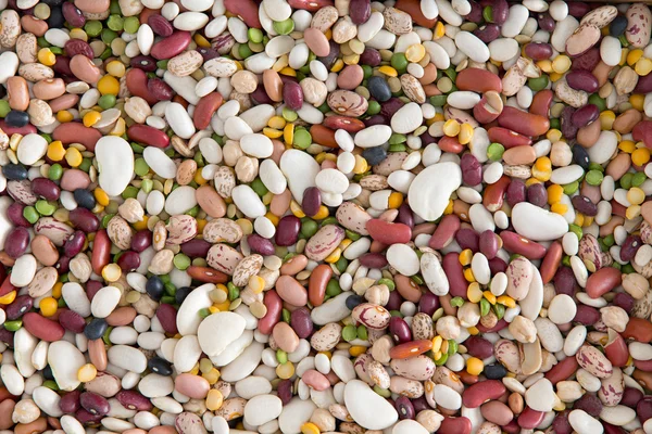 Background of 15 assorted beans and legumes — Stock Photo, Image