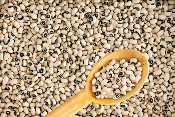 Full frame background of black-eyed beans — Stock Photo, Image