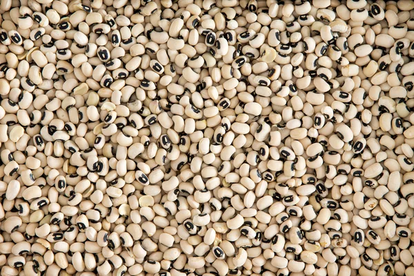 Background texture of black-eyed beans — Stock Photo, Image