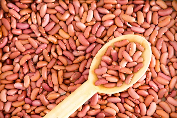 Kidney Beans with Wooden Spoon for Backgrounds — Stock Photo, Image