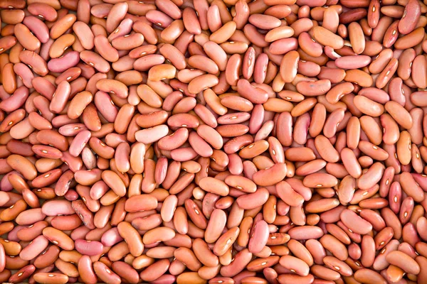 大量的光红芸豆为背景 — 图库照片