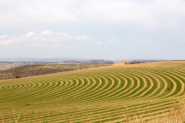 Centro de pivô irrigado fazenda — Fotografia de Stock