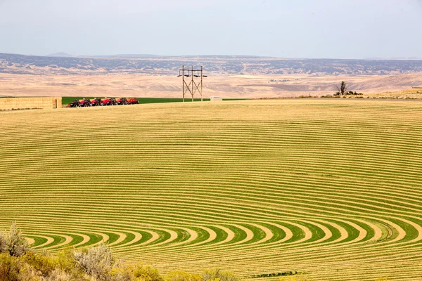 Fazenda com plantio contornado para irrigação por pivô — Fotografia de Stock