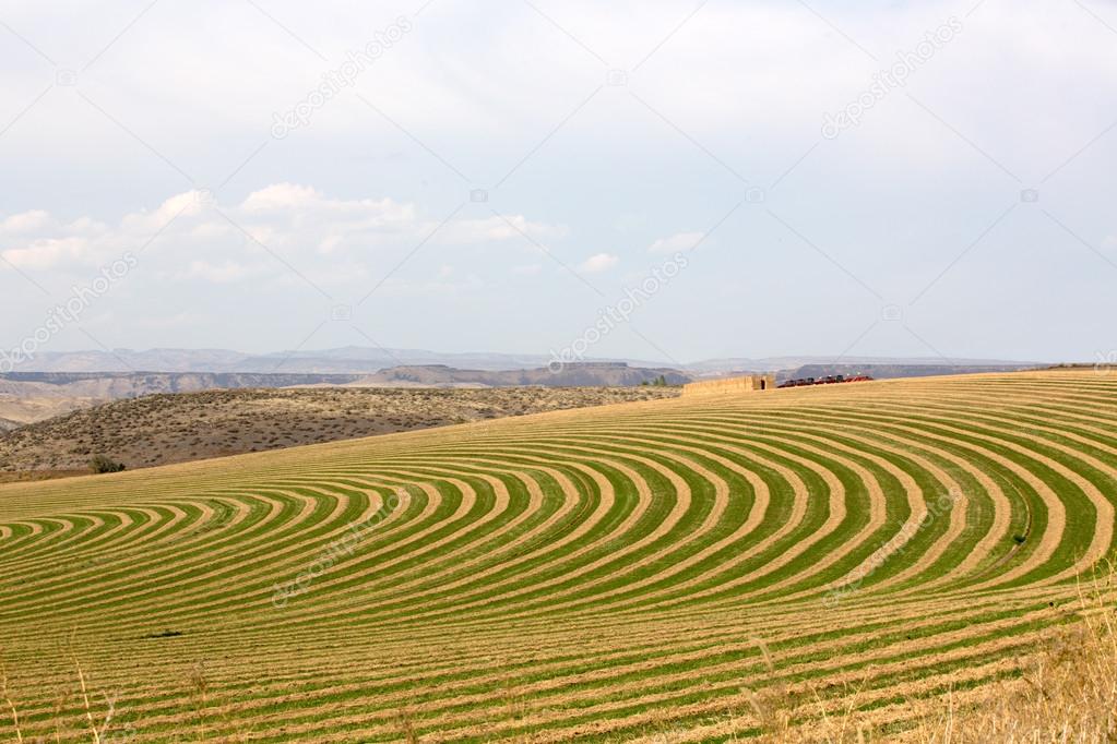 Center pivot irrigated farm