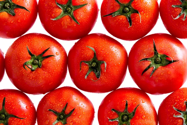 Червоні помідори з крапель води на білому тлі — стокове фото