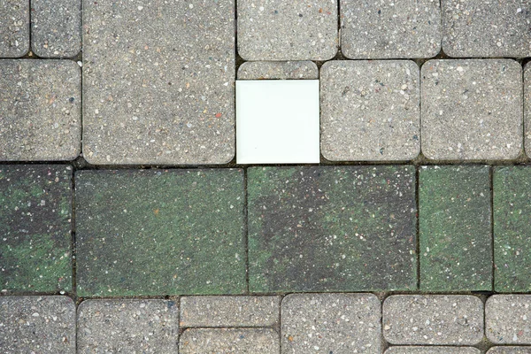 Fiber optic light in a brick paved patio — Stock Photo, Image