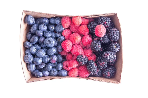 Punnet of ripe assorted fresh autumn berries — Stock Photo, Image