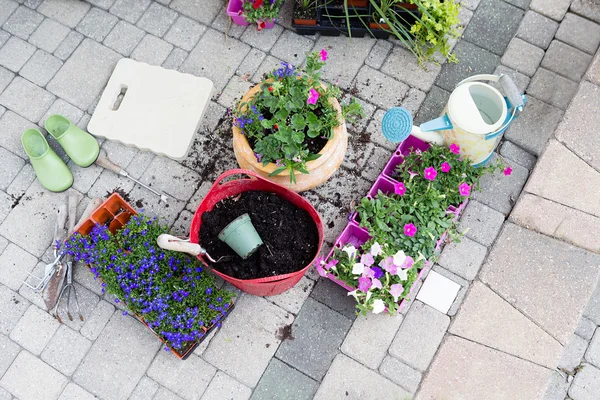 Seedlings, potting soil and flowerpots on a patio — Stock Photo, Image