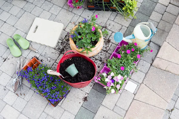 Semis, terreau et pots de fleurs sur un patio — Photo