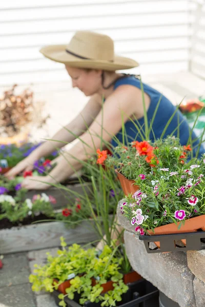 Женщина сажает растения в жаркий весенний день — стоковое фото