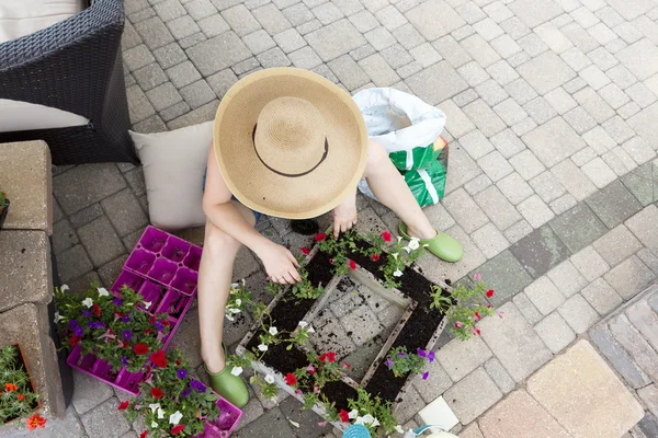 Леди садовница сажает саженцы в цветочный горшок — стоковое фото
