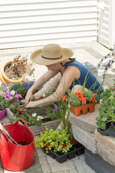 Mujer atractiva encapsulando plántulas de vivero — Foto de Stock