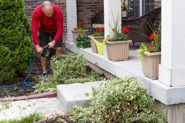 Jardinier taille des arbustes dans le jardin — Photo