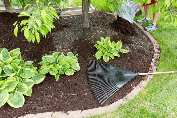 Man verspreiding mulch in de tuin — Stockfoto