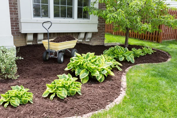 Manutenção do jardim na primavera fazendo a mulching — Fotografia de Stock