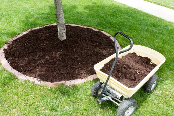 Mulch work around the trees — Stock Image Mulch work around the trees Stock Image