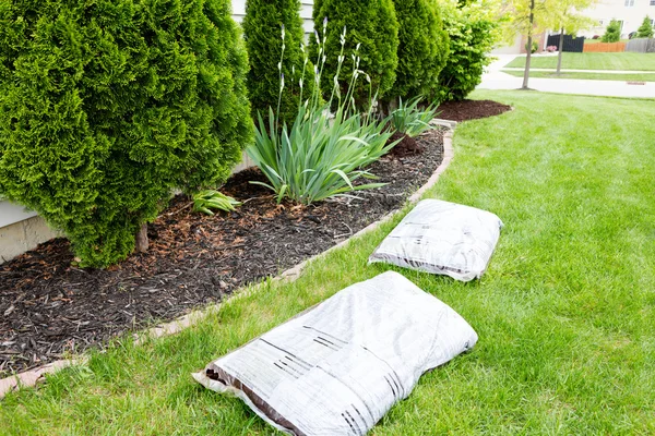 Mulching flowerbeds around the house — Stock Image Mulching flowerbeds around the house Royalty Free Stock Photos