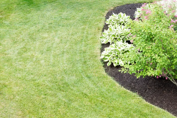 Mulched flowerbed in a neatly manicured green lawn — Stock Photo, Image