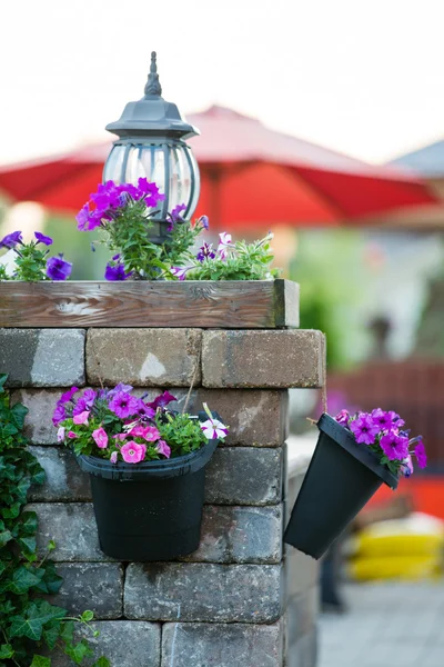 Vasi di fiori annaffiati appesi al pilastro di pietra — Foto Stock