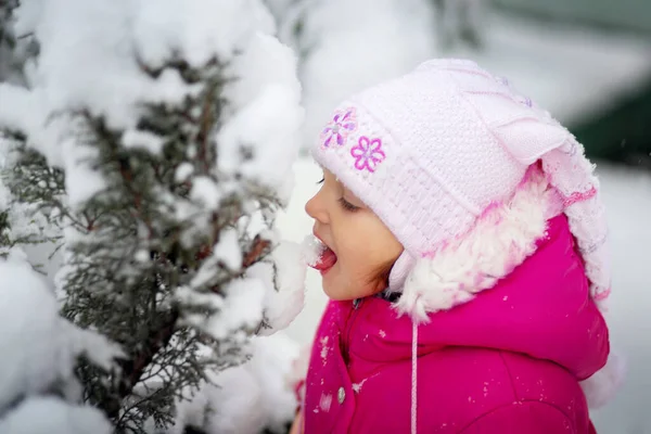 Маленька Дівчинка Вулиці Взимку Лиже Сніг Язиком Прямо Куща Небезпека — стокове фото