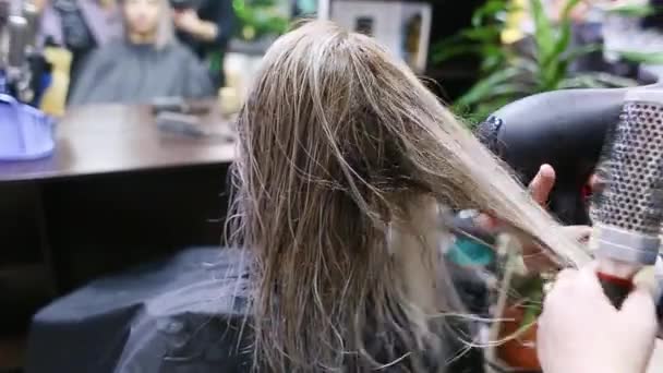 Femme Coiffeur Sèche Les Cheveux Avec Sèche Cheveux Cliente Dans — Video