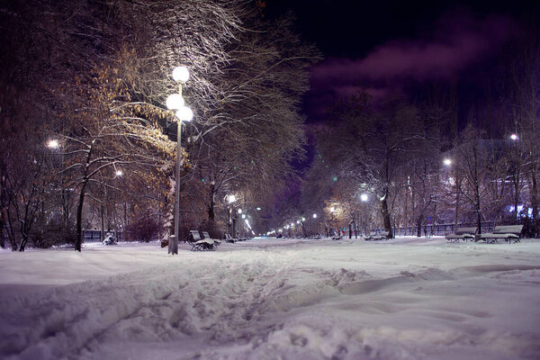 View of the night city in winter. Snow-covered city park at night time. Street lights on the boulevard