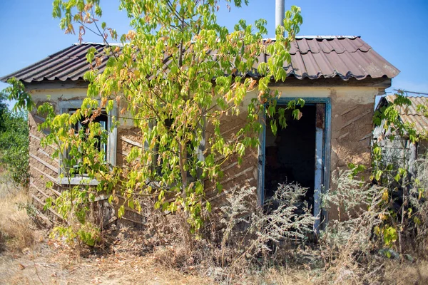 Una Vieja Casa Abandonada Pueblo Cubierta Matorrales Hierba Antigua Morada Imágenes de stock libres de derechos