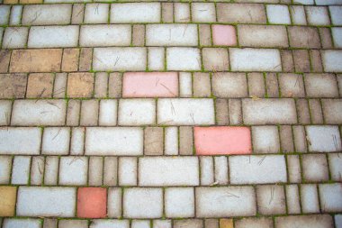 Döşeme taşlarının sonbahar arkaplanı. Kaldırım taşları ve çam iğneleriyle sonbahar soyutlaması.