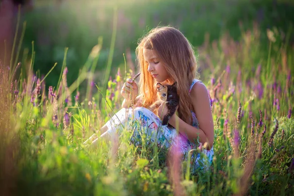소녀가 아름다운 삼색의 고양이와 피어나는 들판에 꽃피는 한색을 고양이 스톡 이미지