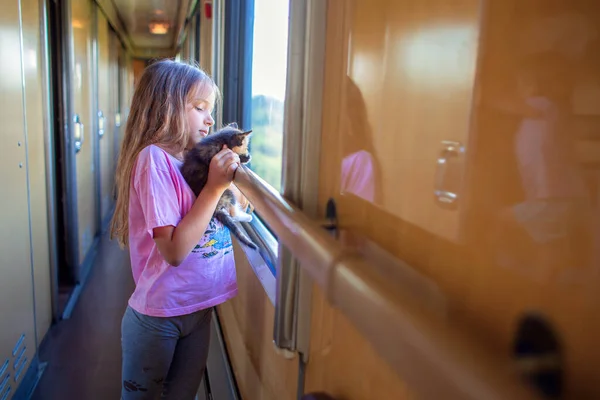 소녀가 고양이와 화물칸에 기차를 동물들 고양이가 아이가 기차를 창밖을 내다본다 로열티 프리 스톡 사진