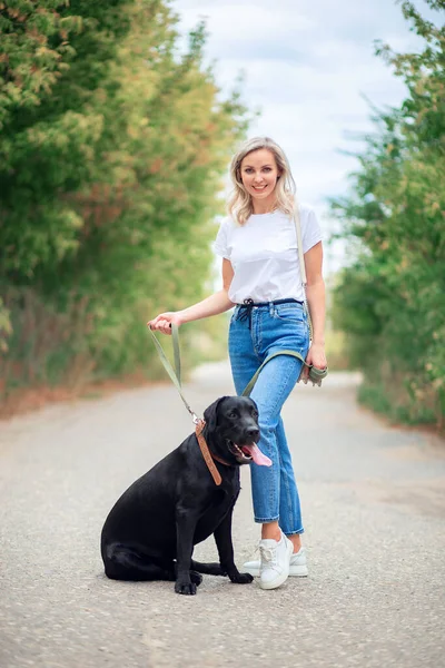 Una Hermosa Joven Jeans Pasea Con Perro Labrador Parque Ciudad Imagen de archivo