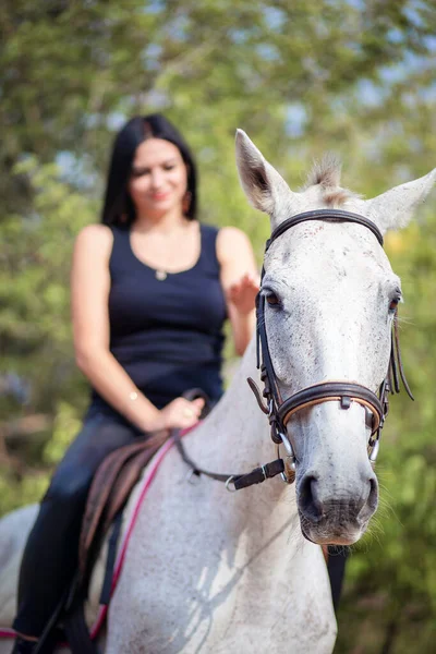 Piękna Kobieta Siedzi Koniu Głaszcze Trening Jazdy Konnej Skup Się — Zdjęcie stockowe