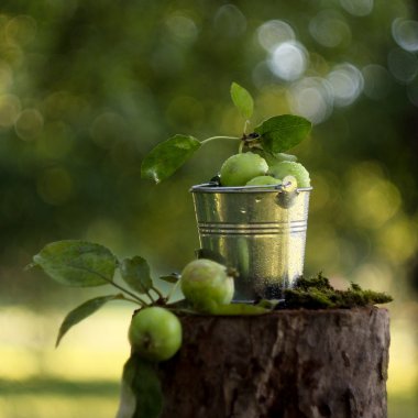 bir kova içinde elmalar