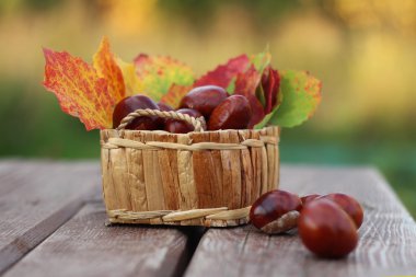 bir ahşap yüzeyde bir sepet içinde kestane