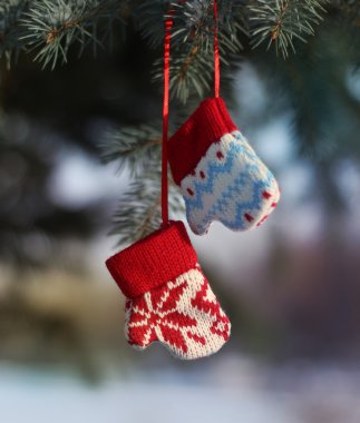 Küçük mittens bir dalda asmak