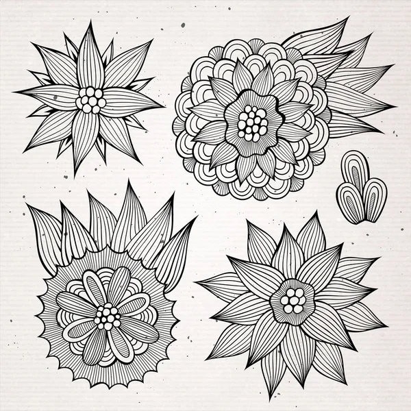 Elementos de diseño floral vectorial — Vector de stock