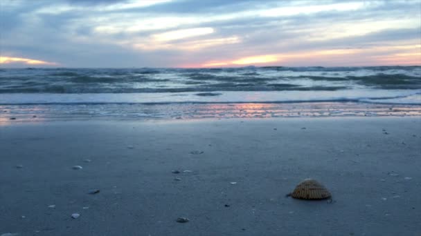 Готель Tropical Beach стійкий захід сонця краєвид — стокове відео