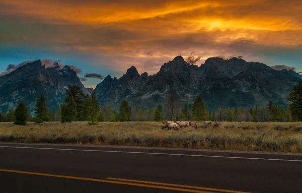 Grand tetons peyzaj