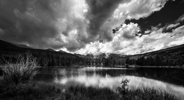 Sprague Lake Colorado Black and White — Stock Photo, Image