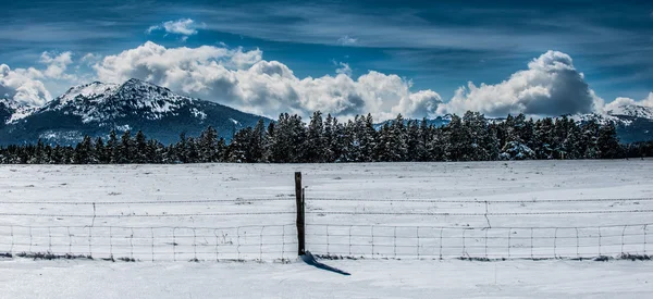 Winter Landscape Wyoming Hazelton Peak — Stock Photo, Image