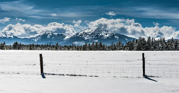 Winter Landscape Wyoming Hazelton Peak — Stock Photo, Image