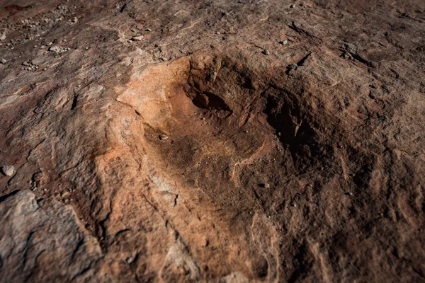 Dinosauriespår i sandsten — Stockfoto