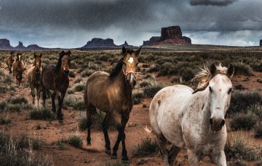 Horses in the Rain  clipart