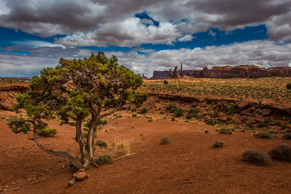 Totem Palo Monument Valley — Foto Stock