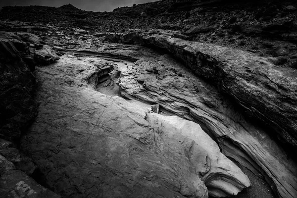 Lilla vild häst Canyon svart och vitt — Stockfoto