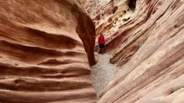 Küçük vahşi at Kanyon Utah ABD bir uzun yürüyüşe çıkan kimse kız