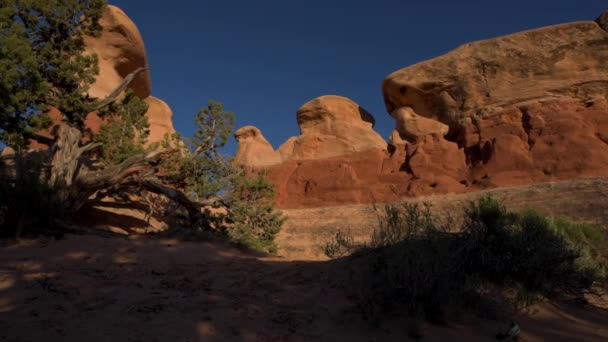 Devils trädgård hoodoos Grand Staircase Escalante National Monument, Utah — Stockvideo