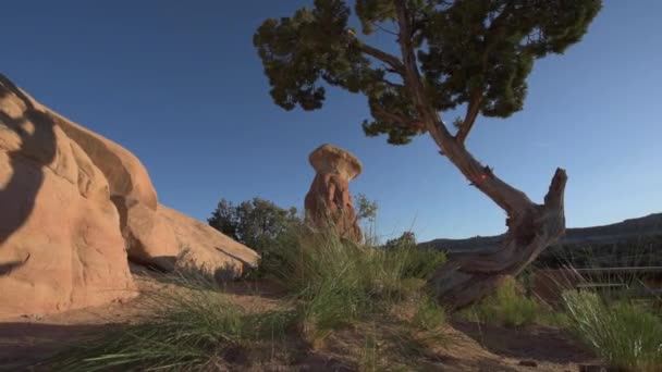 Backpacker flicka att utforska Devils trädgård Escalante — Stockvideo